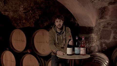 Cata de Dominio del Águila