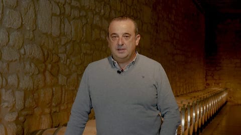 La madera y su impacto en el envejecimiento de los vinos tintos