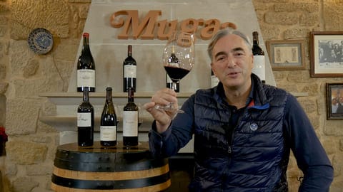 Cata de tintos Muga (2022)