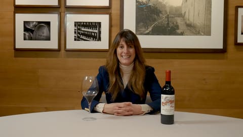 Cata de Castillo Ygay (2021)