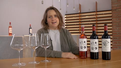 Cata de Cortijo Los Aguilares