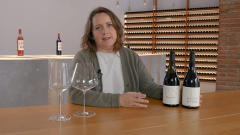 Cata de Cortijo Los Aguilares