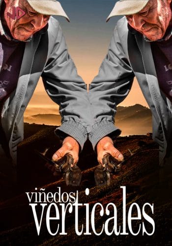 VIÑEDOS VERTICALES