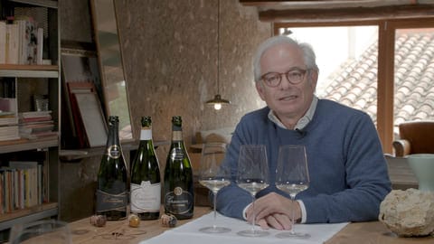 Cata de Gramona (II)