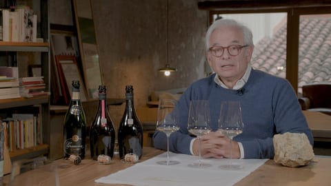 Cata de Gramona (III)