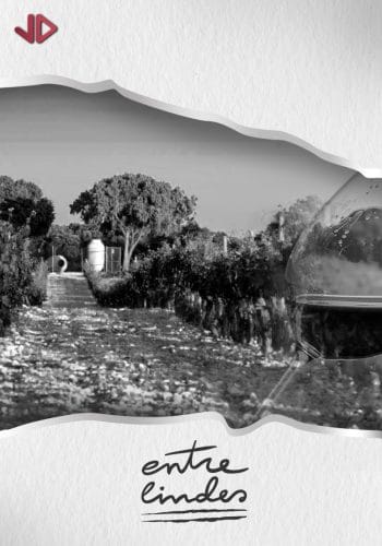 VINOS ENTRE LINDES