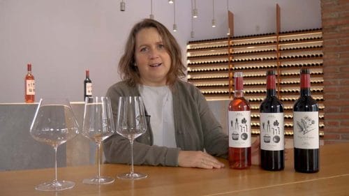 Un vino con Cortijo Los Aguilares