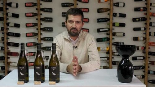 Liberso Curioso Verdejo (2023)