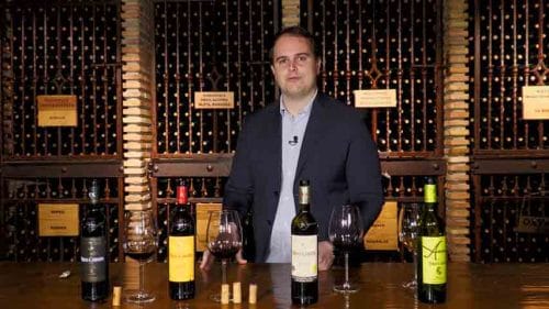 Cata Heras Cordón (2023)