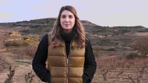 El cambio climático en la viticultura