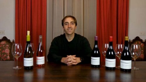 Cata de Vinos Talamingo (2023)