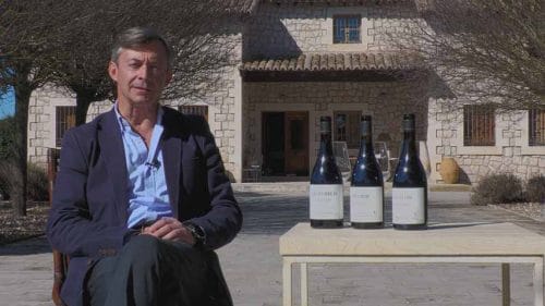 Cata Viñedos Olvidados (2023)