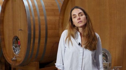 Conoce Bodegas José Pariente