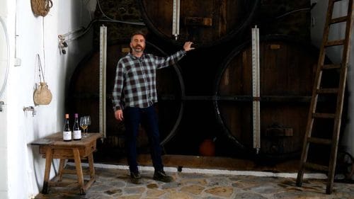 Cata con Viñedos Verticales (2023)