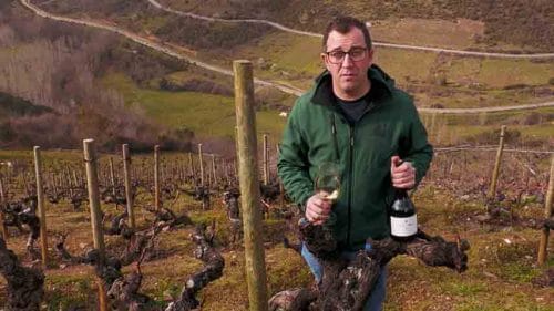 Cata de Pago de los Abuelos (2023)