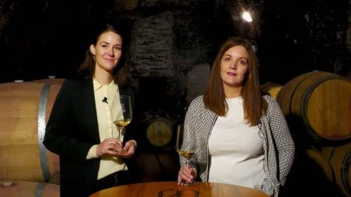 Cata con Muelas (2023)