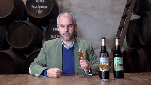 Cata de Cayetano del Pino (2023)