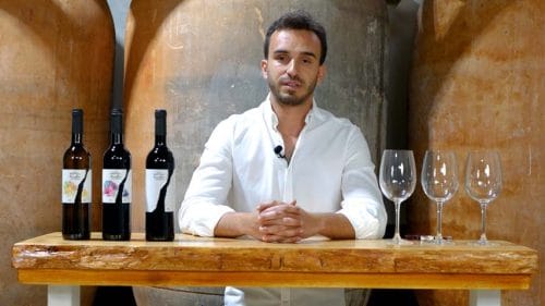 Cata de Entre Lindes