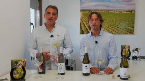 Cata de blancos de Vega de Tera