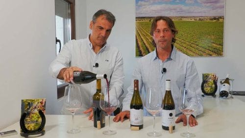 Cata de tintos de Vega de Tera