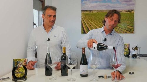 Un vino con Vega de Tera