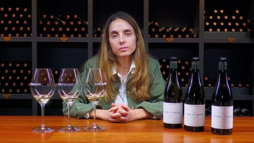 Cata vertical Finca Las Comas