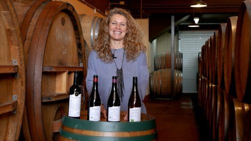 Cata de Las Moradas (2023)