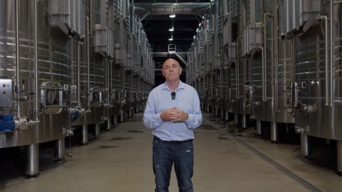 Elaboración de los vinos jóvenes