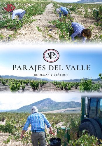PARAJES DEL VALLE