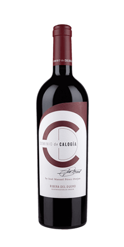 Dominio de Calogía by José Manuel Pérez Ovejas (2020)