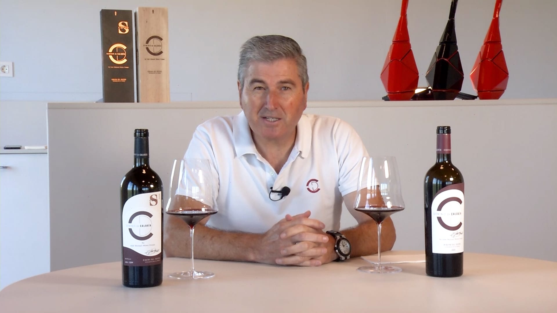 Cata de Dominio de Calogía