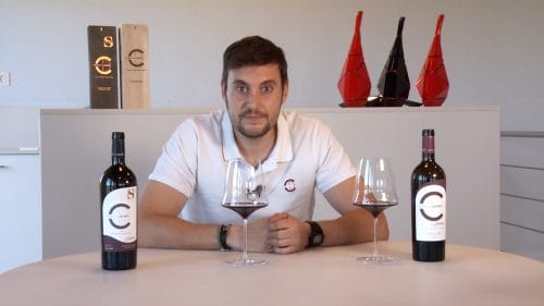 Tasting of Dominio de Calogía (english)