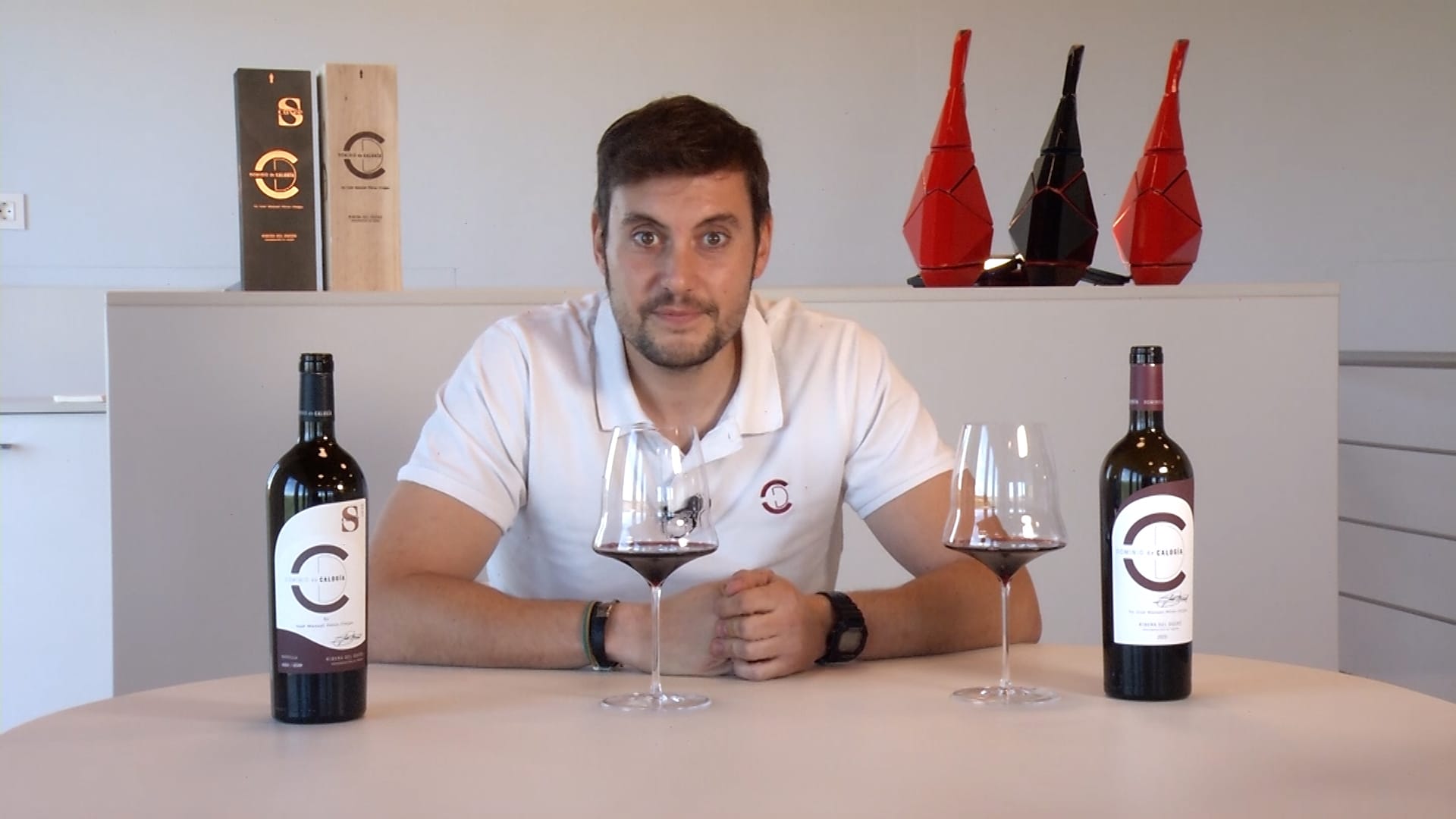Tasting of Dominio de Calogía (english)