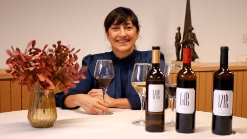 Tasting of still wines (english)