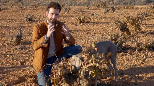 El proyecto Antonio Serrano