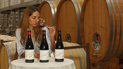 Cata de Bodegas Prieto Pariente