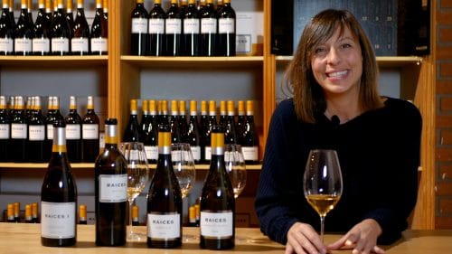 White wine tasting 2: garnacha blanca, xarel-lo, malvar and Raices 1 (english)