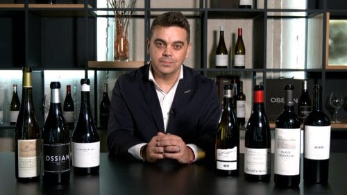 Cata Grupo Alma Carraovejas (2024)