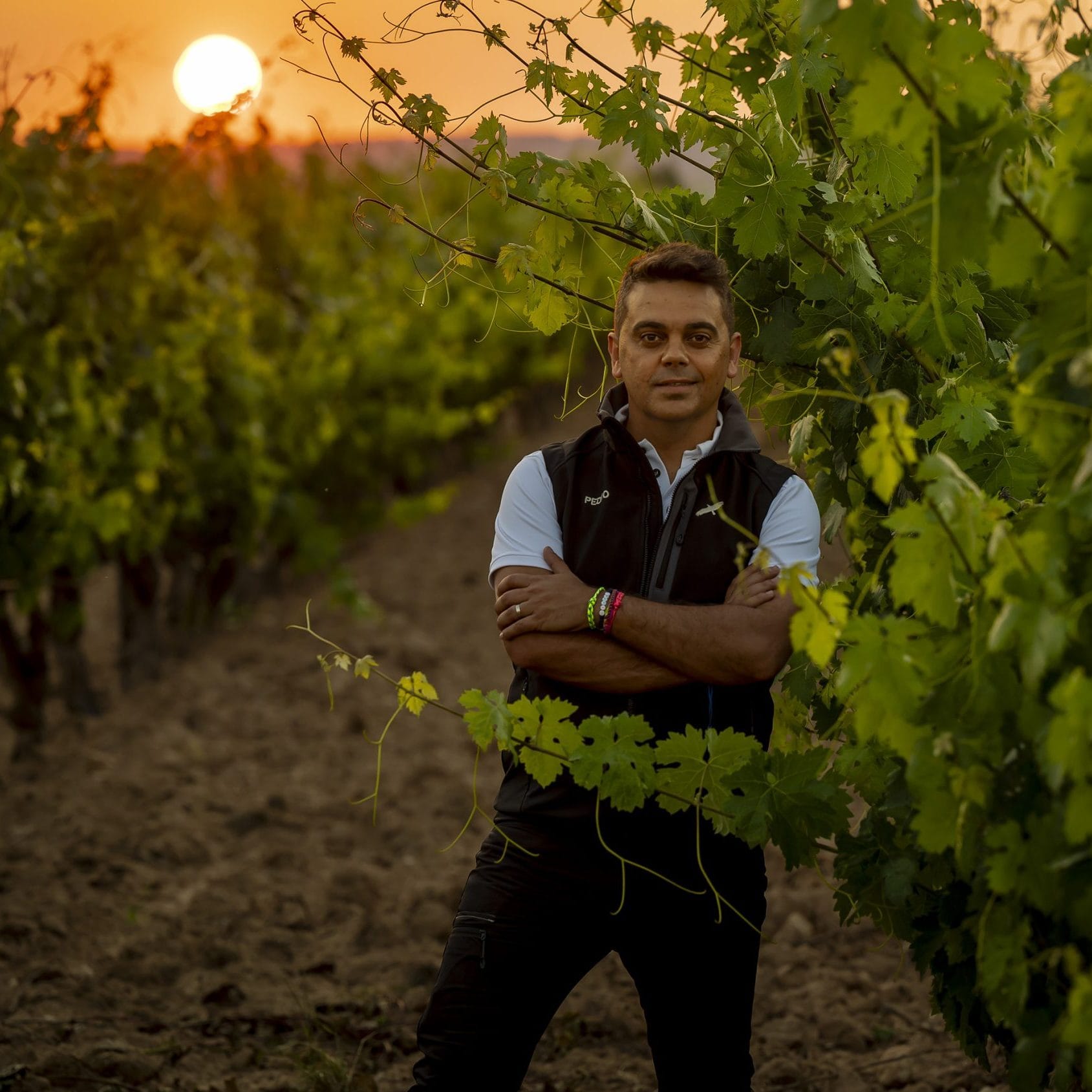 Pedro Ruiz Aragoneses