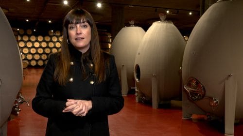 Estudio de levaduras autóctonas