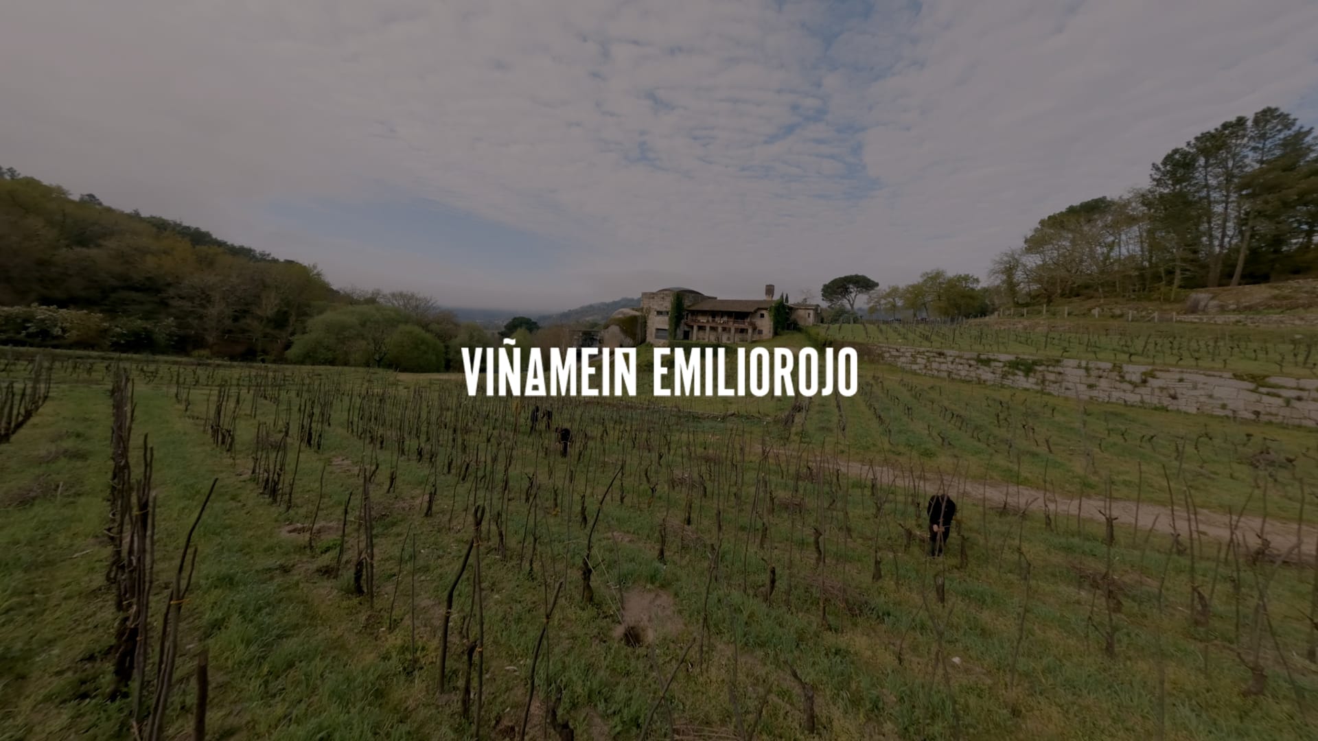 Viña Meín - Emilio Rojo: La Cuna de Ribeiro