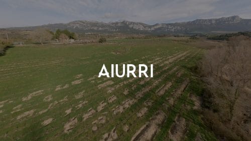 Aiurri: El Carácter de Leza