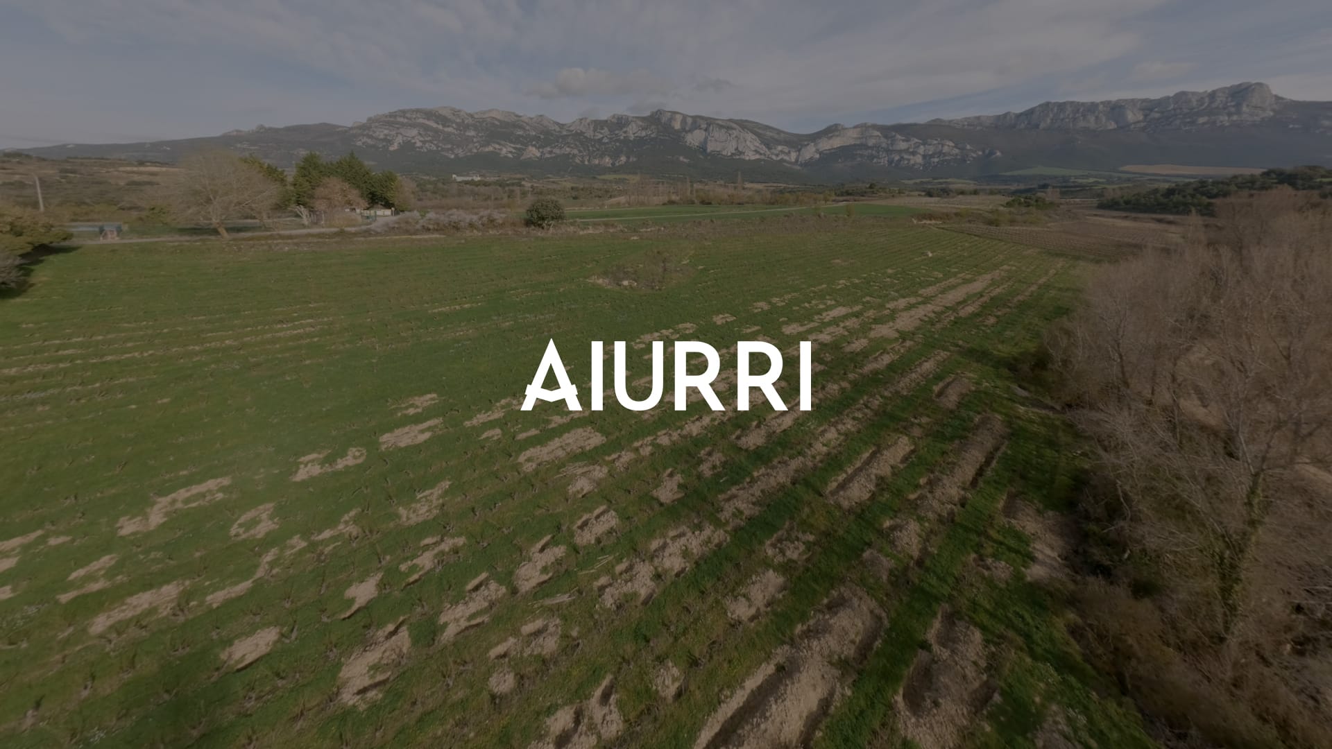 Aiurri: El Carácter de Leza