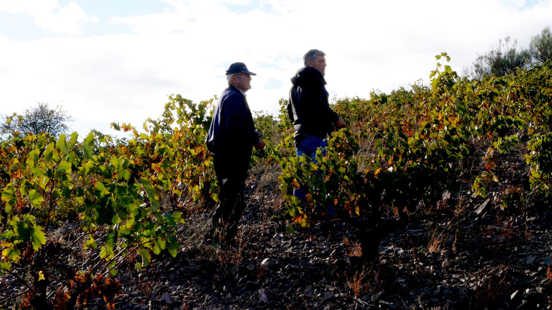 Francisco y Primitivo Layunta