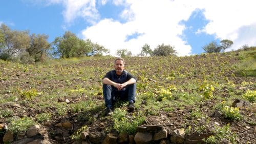 La única parcela de doradilla de la Axarquía