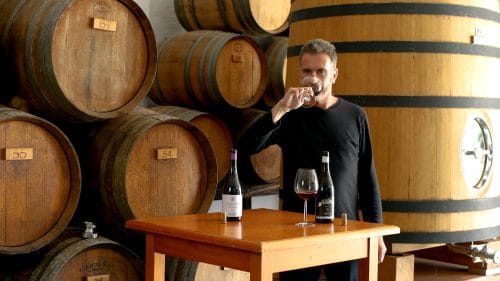 Cata de La Raspa Tinto y Magnético