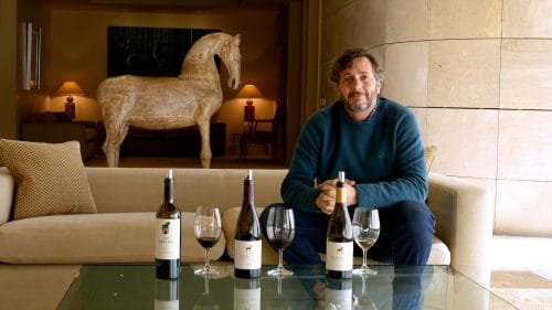 Cata de Viognier, Syrah y Petit Hipperia (2024)