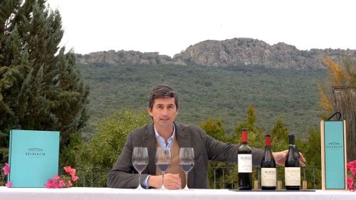 Cata de Primum, Valdealto y Supremum