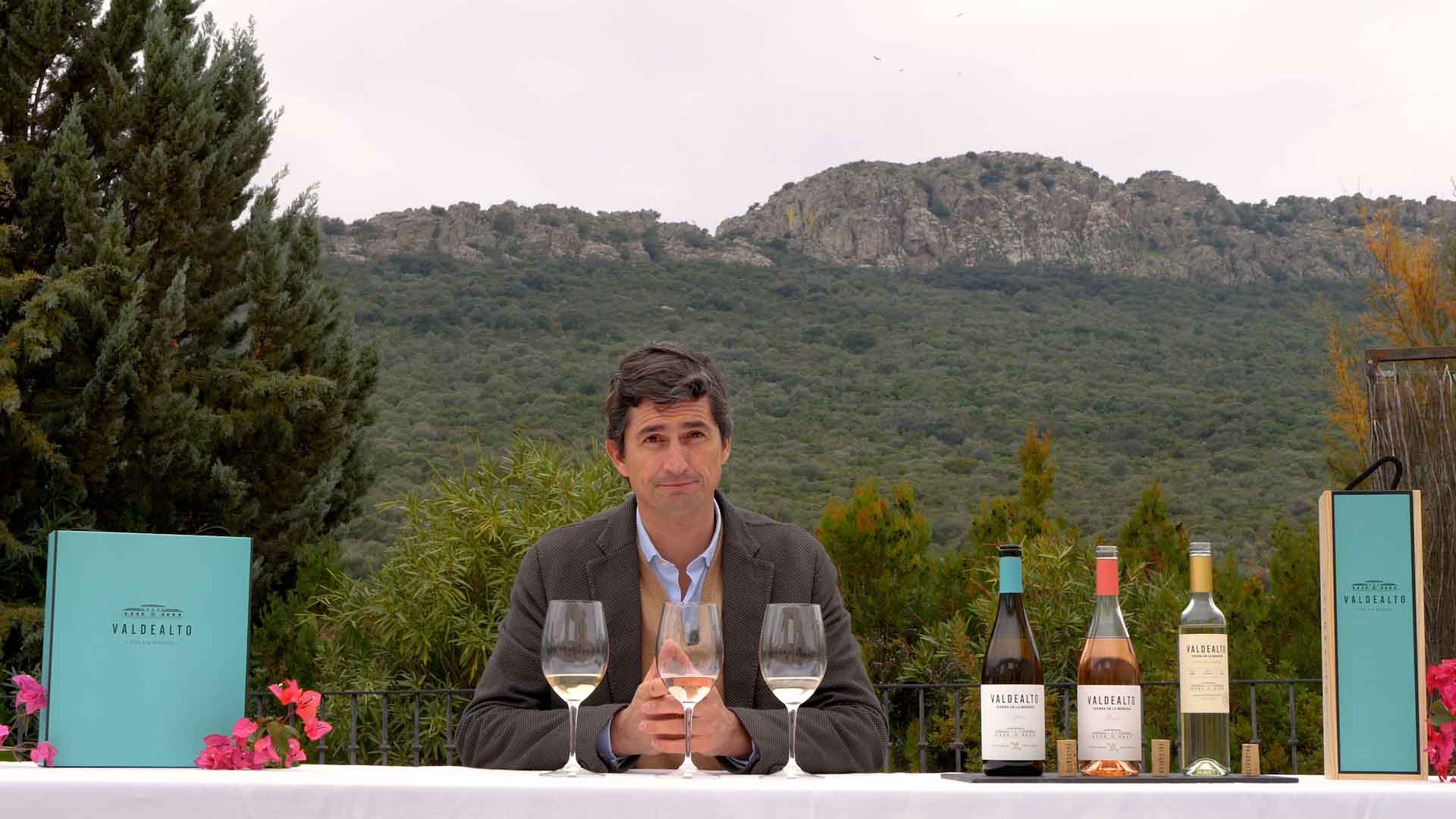 Cata de Viognier, Rosé y Vendimia tardía