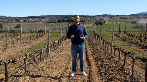 Viticultura de Jardín